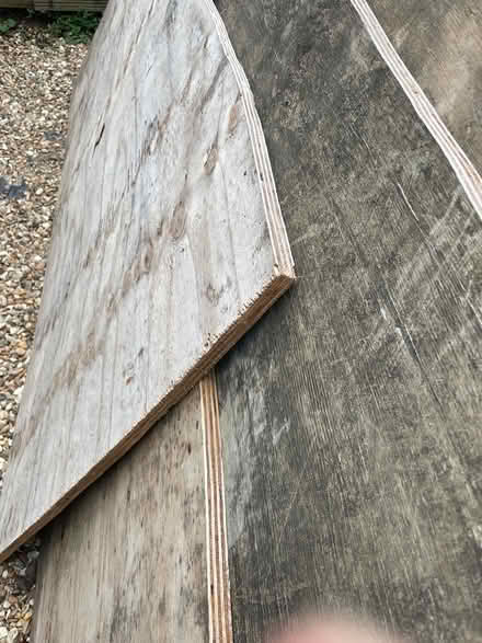 Photo of free 20mm thick plywood (Beckenham, Kent.) #4