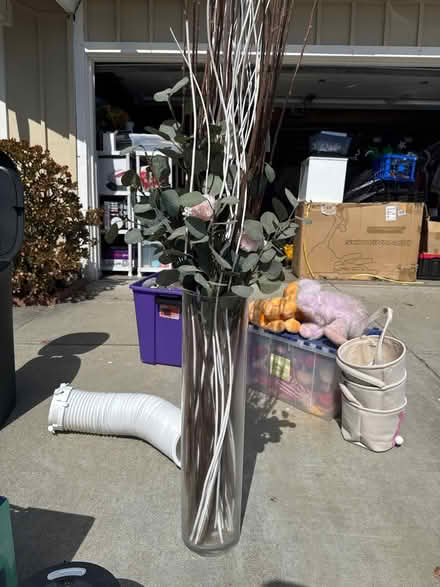Photo of free Flower display with vase (newark) #1