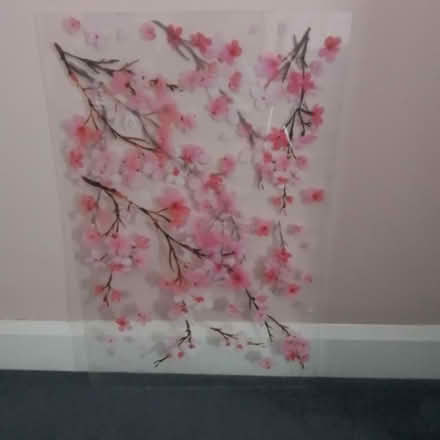 Photo of free Peel and stick wall decals (Bursledon) #1
