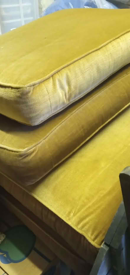 Photo of free Sofa cushions (Lingwood NR13) #1