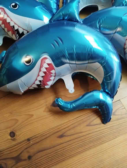 Photo of free Shark party ballons (Stockbridge EH4) #1