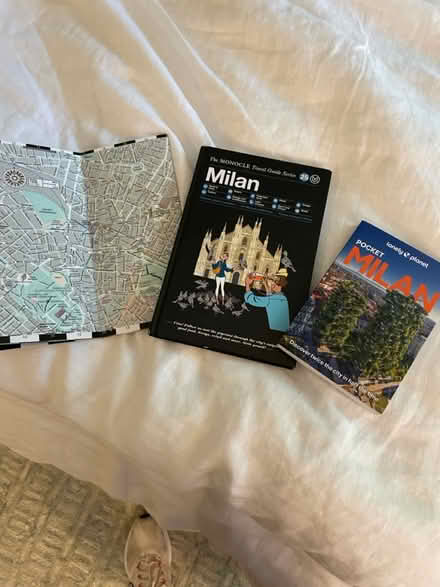 Photo of free New Milan guidebooks and map (South Arlington) #1