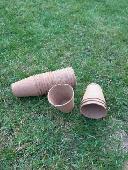 Photo of free Fibre pots (Chineham RG24) #2