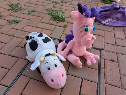 Photo of free Soft toys random (Broomgrove TN34) #2