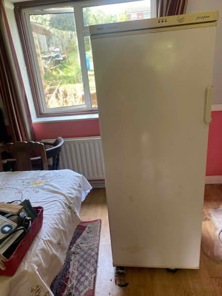 Photo of free Tall freezer (Epping. CM16) #3