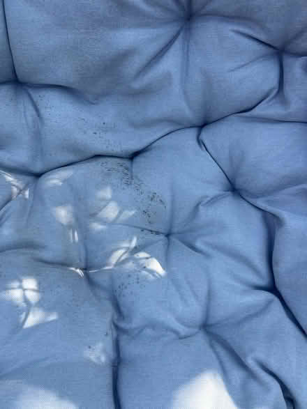 Photo of free Egg Chair for the garden (North Tonbridge TN10) #3