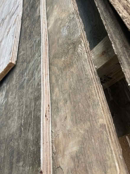 Photo of free 20mm thick plywood (Beckenham, Kent.) #3
