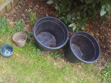 Photo of free Plastic planting pots (Findon Valley BN14) #1