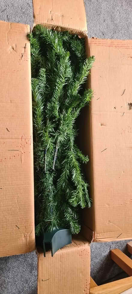 Photo of free Christmas tree (Colinton EH13) #2
