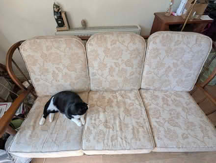 Photo of free 3 seater sofa (Barnards Green WR14) #1