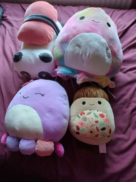 Photo of free Squishmallows (Moorfields) #1
