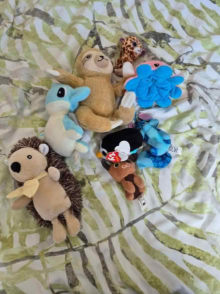 Photo of free Soft toys (Maidstone ME15) #1