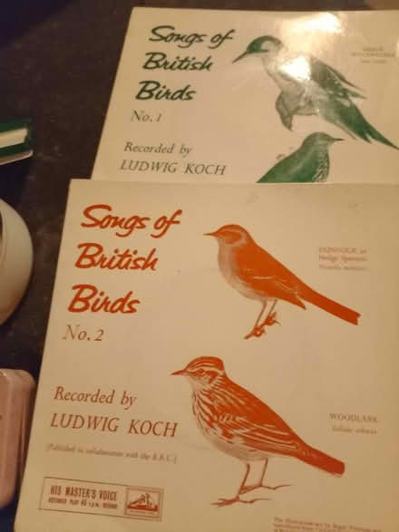 Photo of free 1950s songbird singles (North Bersted) #1