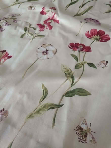 Photo of free Flowers & Butterflies Large Curtains (West Runton NR27) #4