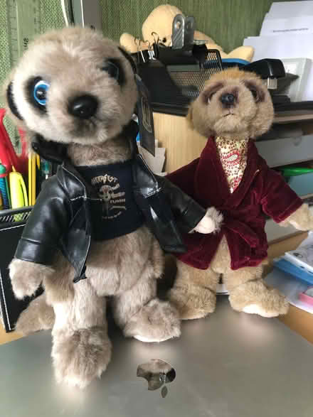 Photo of free Meerkat toys (Emersons Green BS16) #1