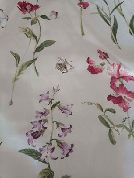 Photo of free Flowers & Butterflies Large Curtains (West Runton NR27) #3