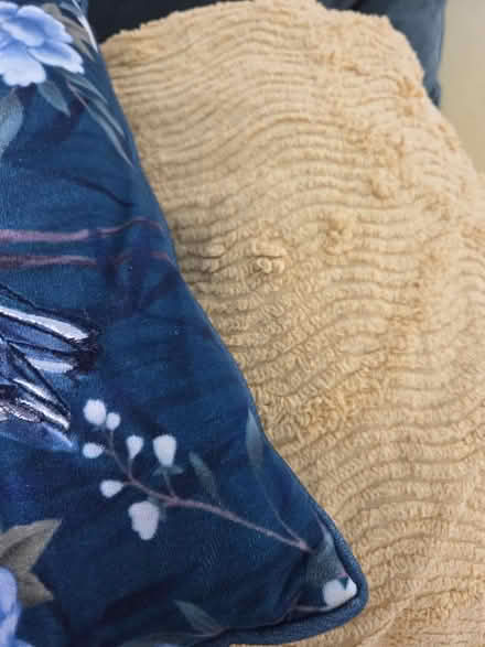 Photo of free Vintage 60s bed throw (Worksop) #1