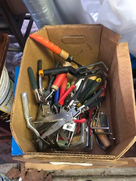 Photo of free Garden tools and plant stakes (East Watertown) #1