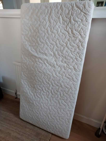 Photo of free Cot bed mattress and protector (EH16 5ER) #1