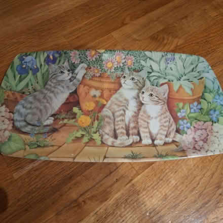 Photo of free Melamine tray (Rother TN35) #1