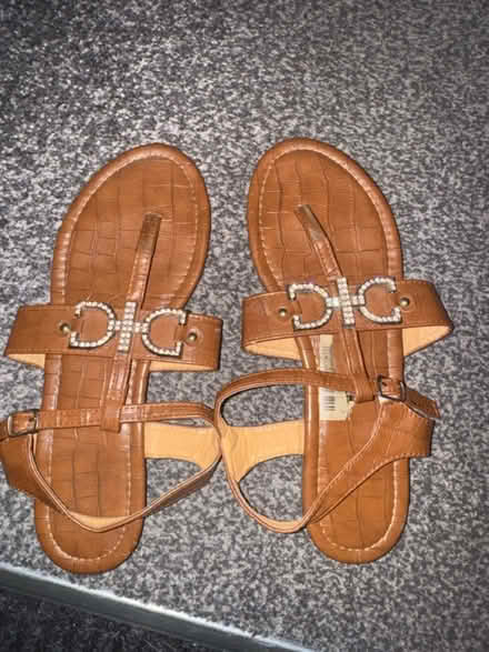 Photo of free Brown Sandals (NG8, Strelley) #1