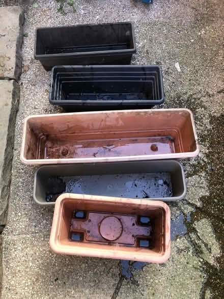 Photo of free five planters (Greystones S11) #1