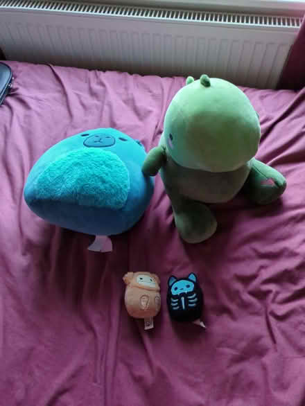 Photo of free Squishmallows (Moorfields) #1