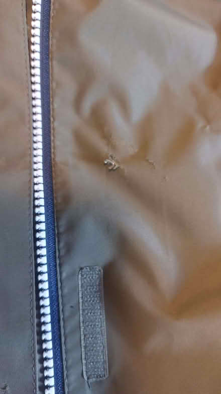 Photo of free Trespass women's coat (damaged) (Oldfield Park) #1