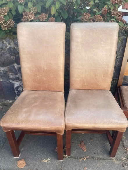 Photo of free 6 dining chairs. Good condition (Fallow Corner N12) #1