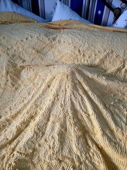 Photo of free Vintage 60s bed throw (Worksop) #2