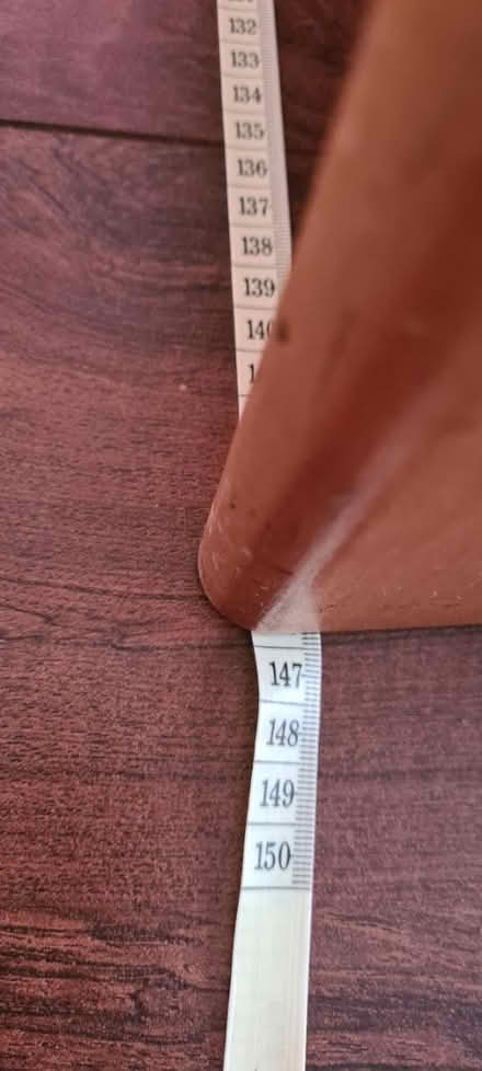 Photo of free Kids cot bed, bedding and lights (Boothville) #3