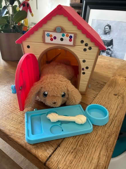 Photo of free Toy dog and kennel (Enfield EN2) #1