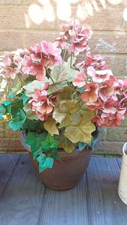 Photo of free Flower in pot, artificial (Winkwell HP1) #1