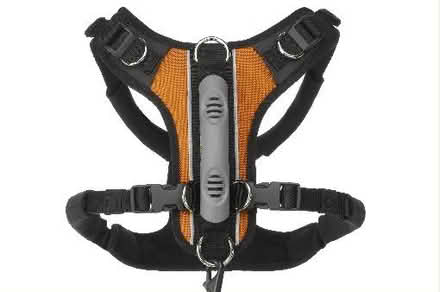 Photo of free 'Em Up Harness for dog (Larkspur) #2