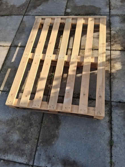 Photo of free pallet (west felton, SY11) #1