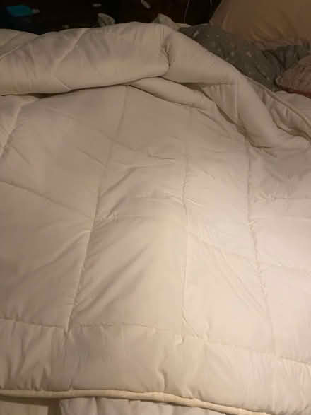 Photo of free Single silentnight quilt (Beaumont LA1) #2