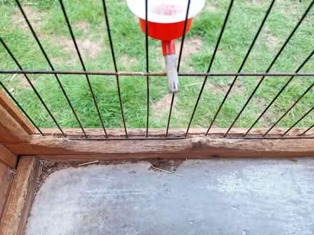 Photo of free Hutch (The Wells KT18) #2