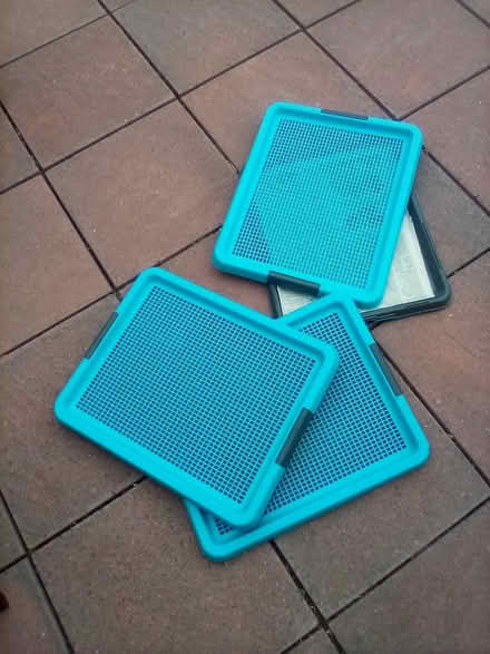 Photo of free Doggy Toilet Trays (North Worle BS22) #1
