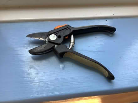 Photo of free Secateurs (Northcourt OX14) #2