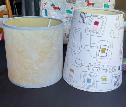 Photo of free Lampshades (Northcourt OX14) #1