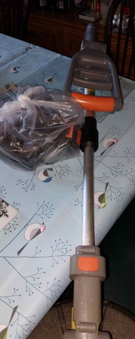 Photo of free Strimmer (Glasgow G51) #2