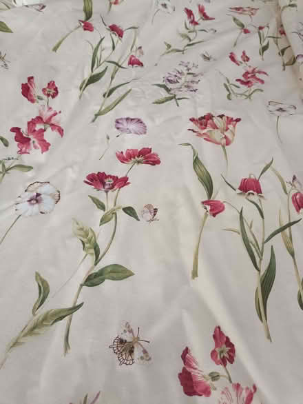 Photo of free Flowers & Butterflies Large Curtains (West Runton NR27) #1