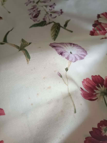Photo of free Flowers & Butterflies Large Curtains (West Runton NR27) #2