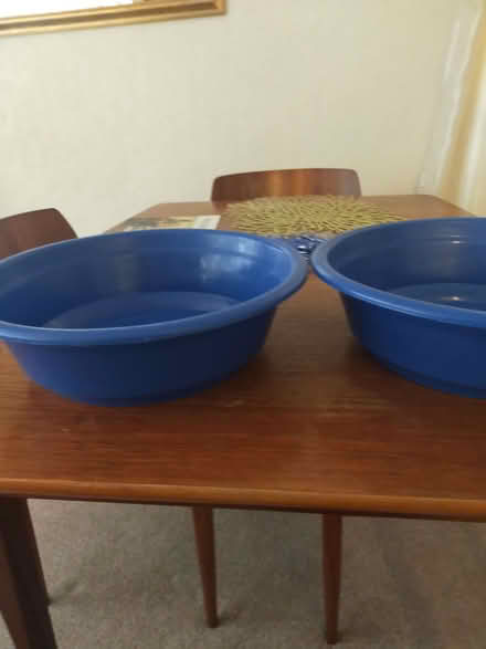 Photo of free Shallow bowls (Northwood HA6) #1