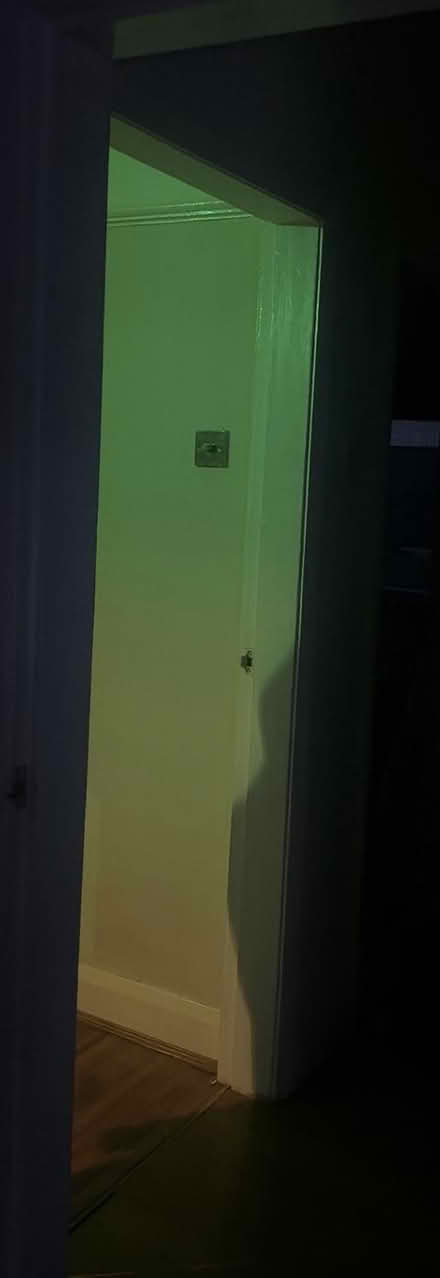 Photo of free Glass Green Pendant Ceiling Light (Wallasey) #2