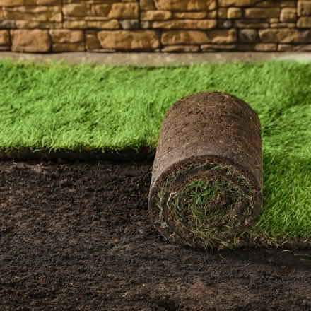 Photo of grass turf? (Batheaston) #1