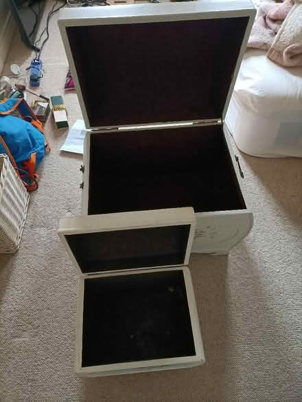 Photo of free 2 storage boxes, one big (Brampton CA8) #2