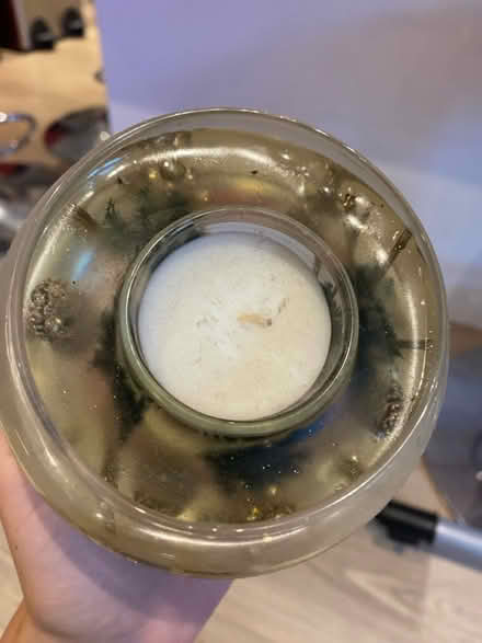 Photo of free Candle (Badger Farm) #2