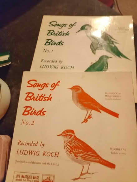 Photo of free 1950s songbird singles (North Bersted) #2
