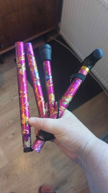 Photo of free Folding walking stick (Swarkestone DE73) #1